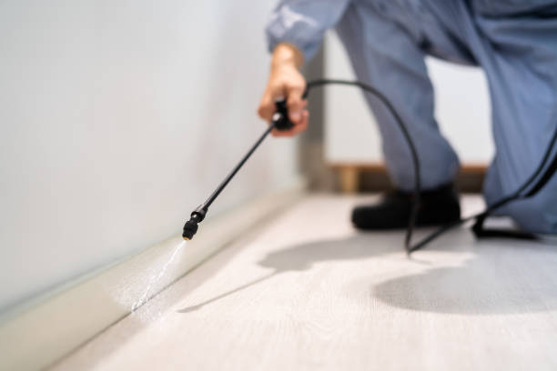 Licensed Pest Control service in King, WI - Show Me Pest Control