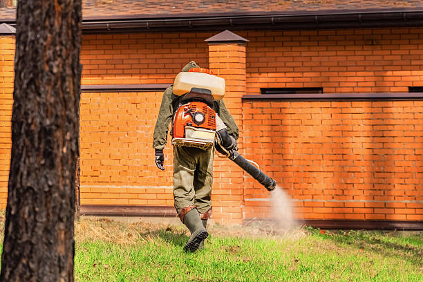 Bed Bug Clearance Verification and Documentation in King